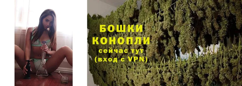 кракен вход  Ахтубинск  Бошки Шишки White Widow 